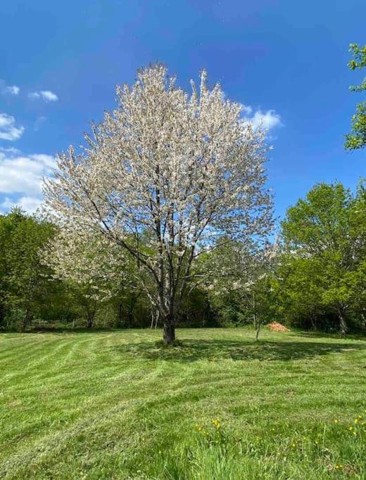 Spacious 1 Bed Home With Shared Pool Champagnac-la-Rivière Kültér fotó